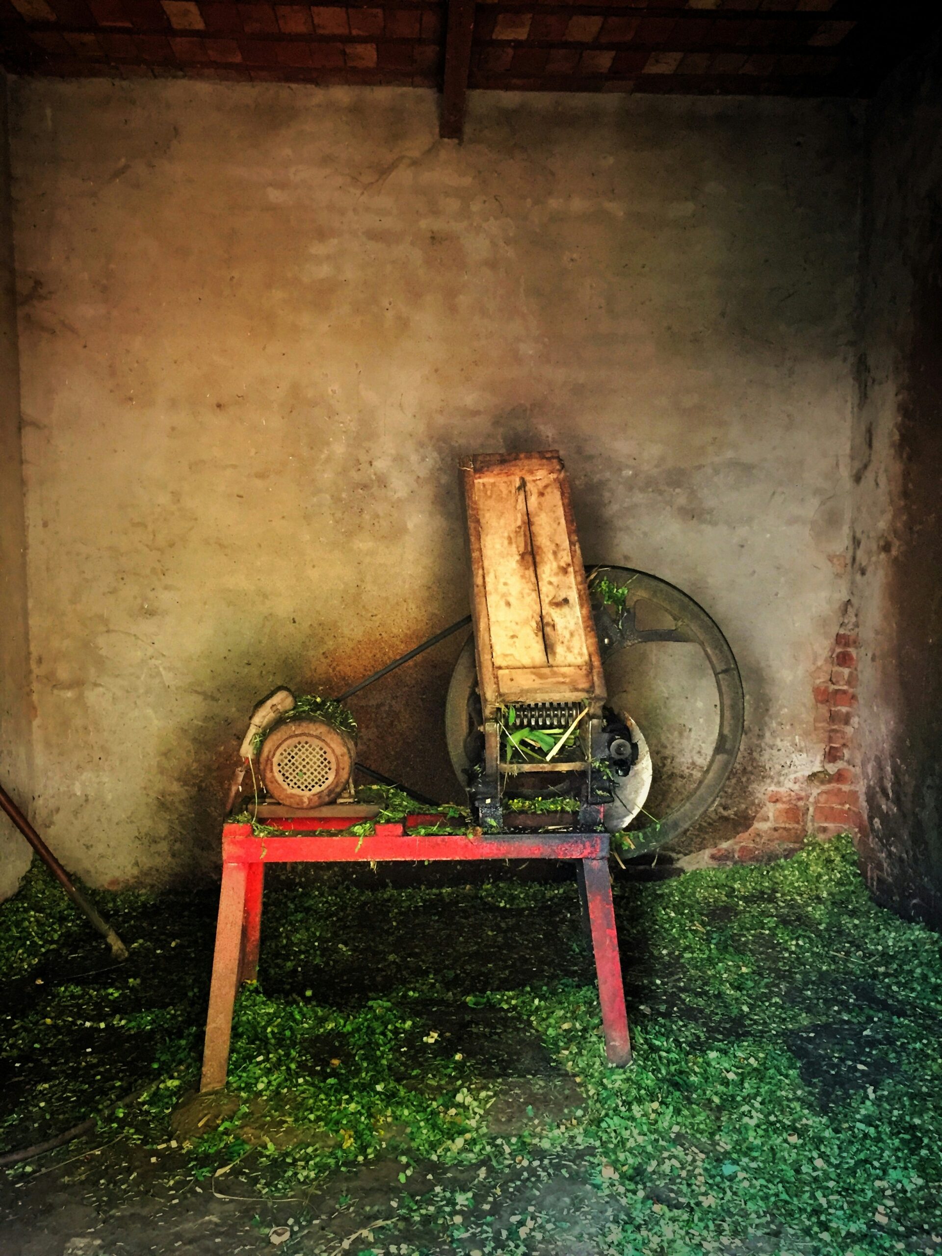 Vintage industrial machine covered with green plant material inside a rustic workshop.
